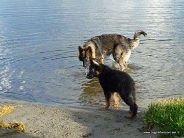 Samen met Beau aan het meer
